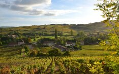 bourgogne-circuit-paysage-vignoble-0FN_0799