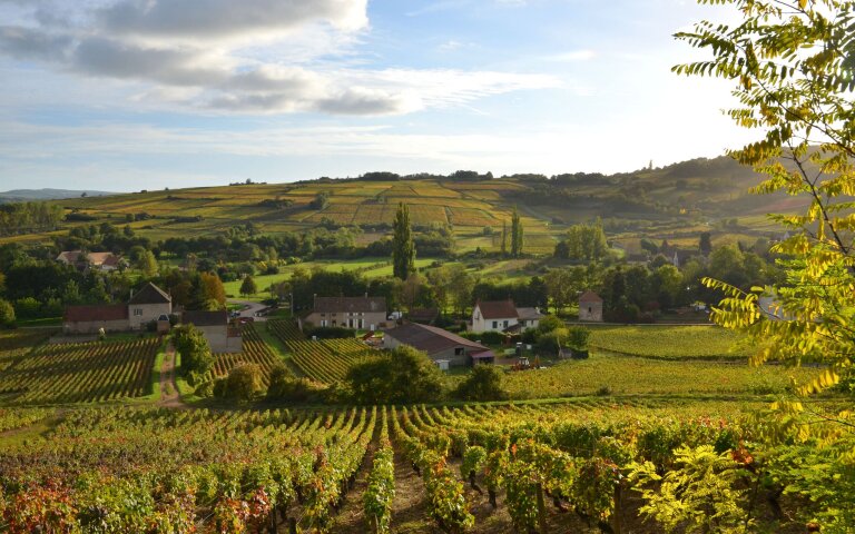 Landschaft
