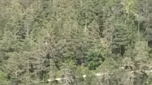 Example image 1